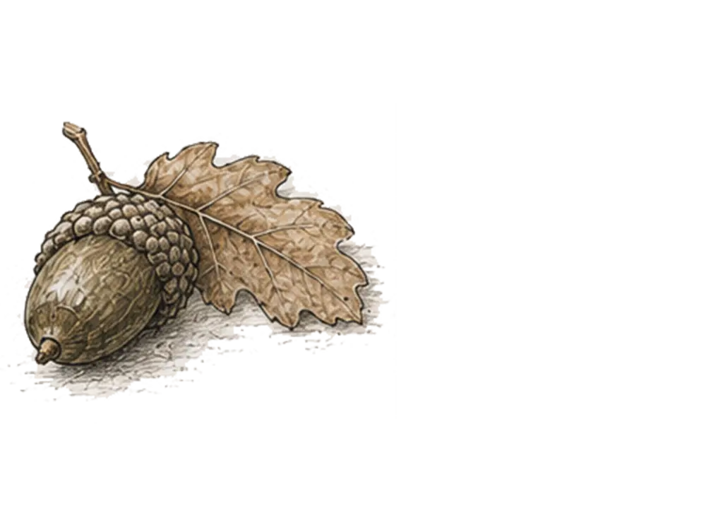 Het zaadje